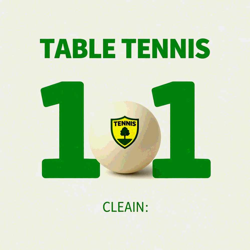 Elite Table Tennis and the Arithmetic of Defeat: Why Europe Still Cannot Break China's Wall Elite Table Tennis and the Arithmetic of Defeat: Why Europe Still Cannot Break China's Wall