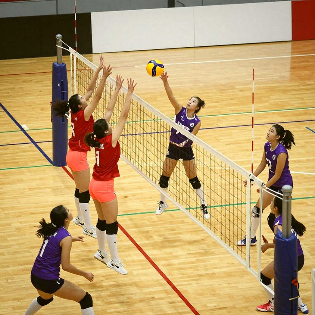 Türkiye Men's Volleyball and the 2027 World Championship: A Historic Sixth Place Is Only the Opening Move of a Draw-Driven Chess Game