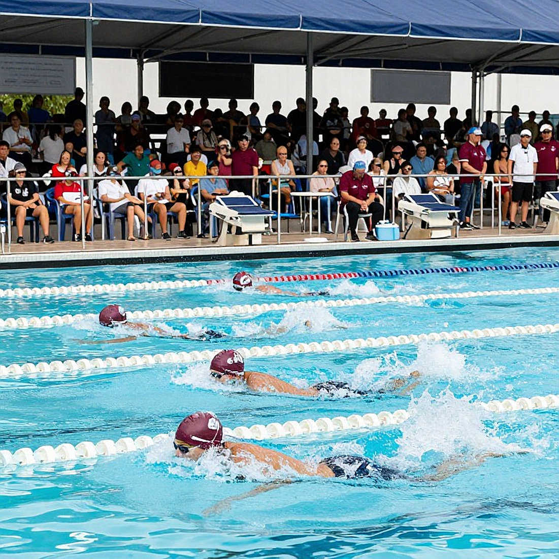 Khi College Swimming League viết lại lịch bơi đại học Mỹ